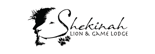 This is the logo for Shekinah Lion and Game Lodge located in vaalwater limpopo south africa